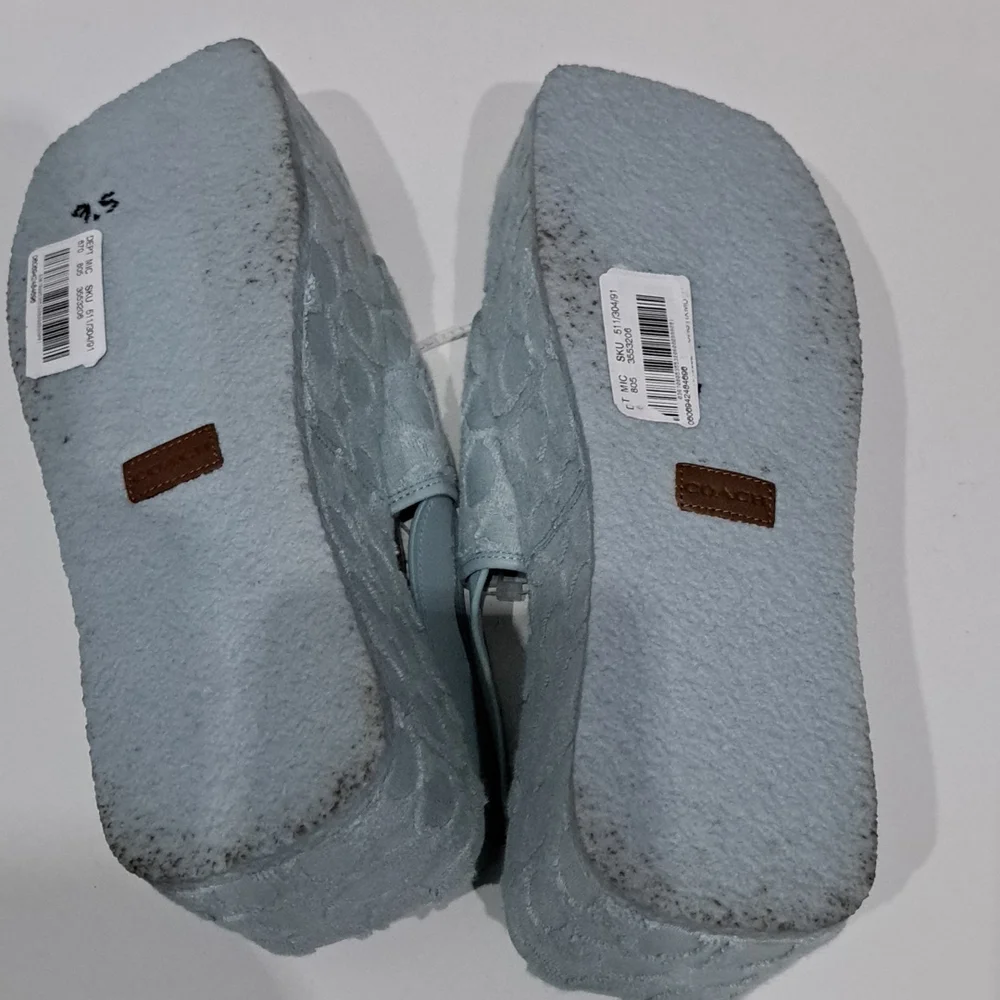 Coach Powder Blue Logo-Embossed Platform Sandals
